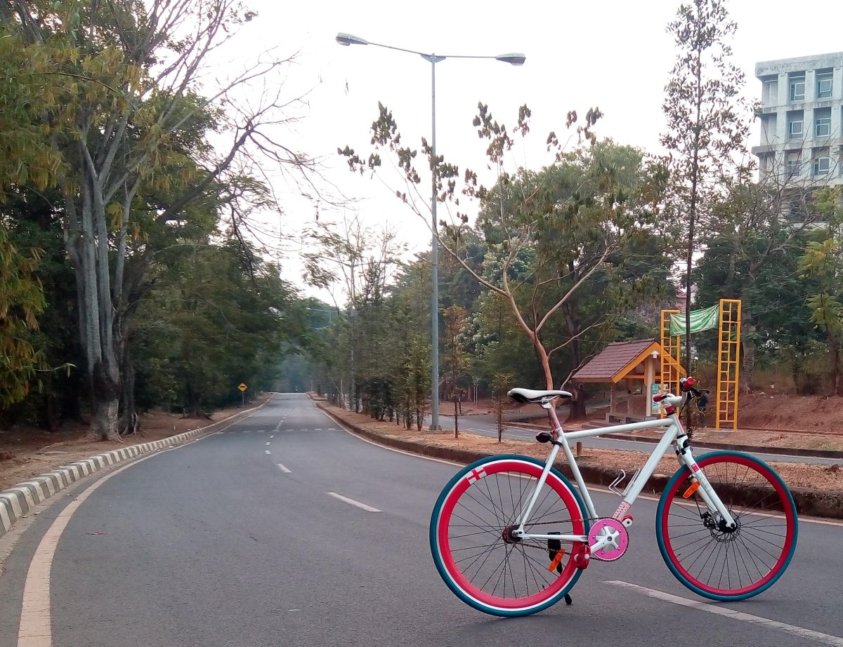 foto sepeda fixie keren cakram suspensi