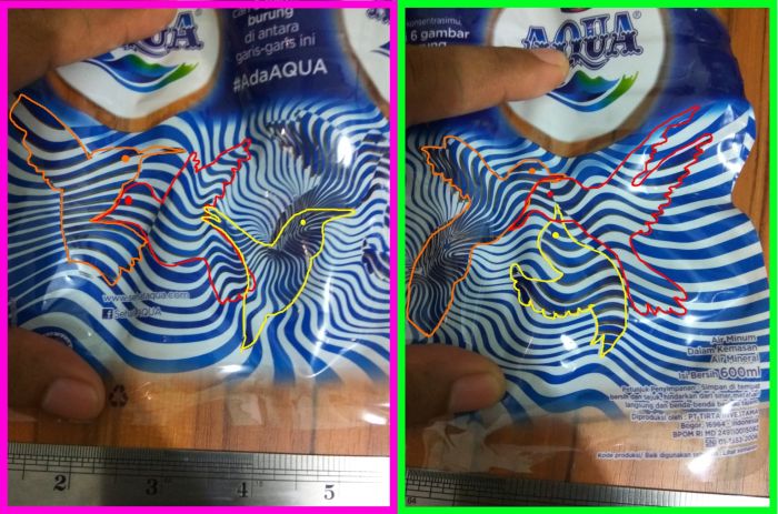 temukan enam gambar burung di antara garis garis ini